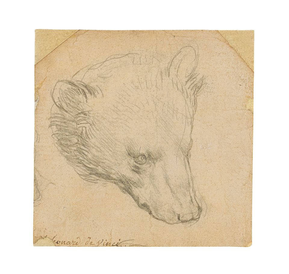 Gambar “Kepala Beruang” Da Vinci Tembus 16,7 Juta Dolar