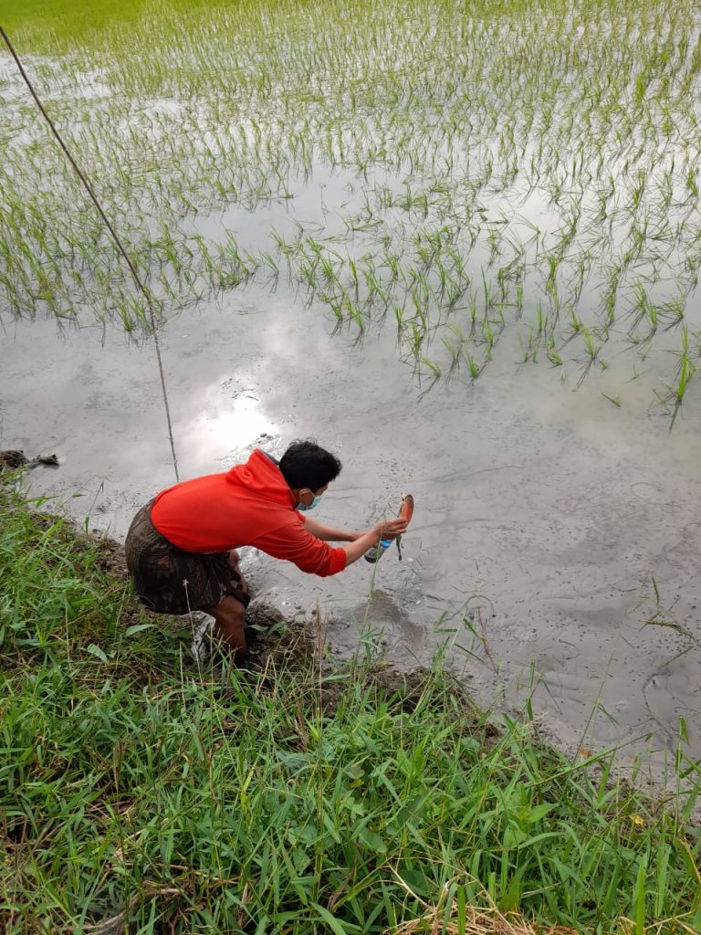 Geger, Warga Gresik Temukan Lubang Misterius Keluarkan Lumpur di Tengah Sawah