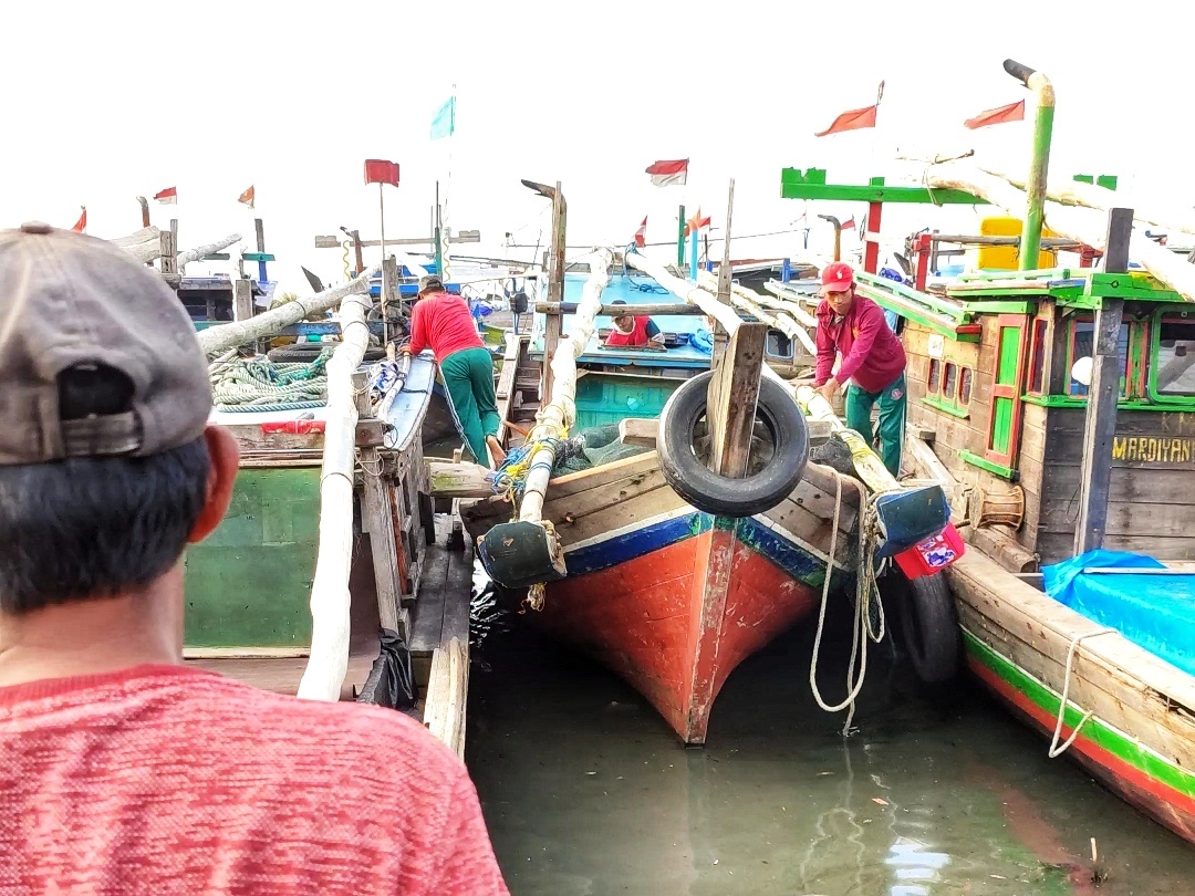 Nelayan Libur Melaut, Harga Ikan di Lampung Timur Naik