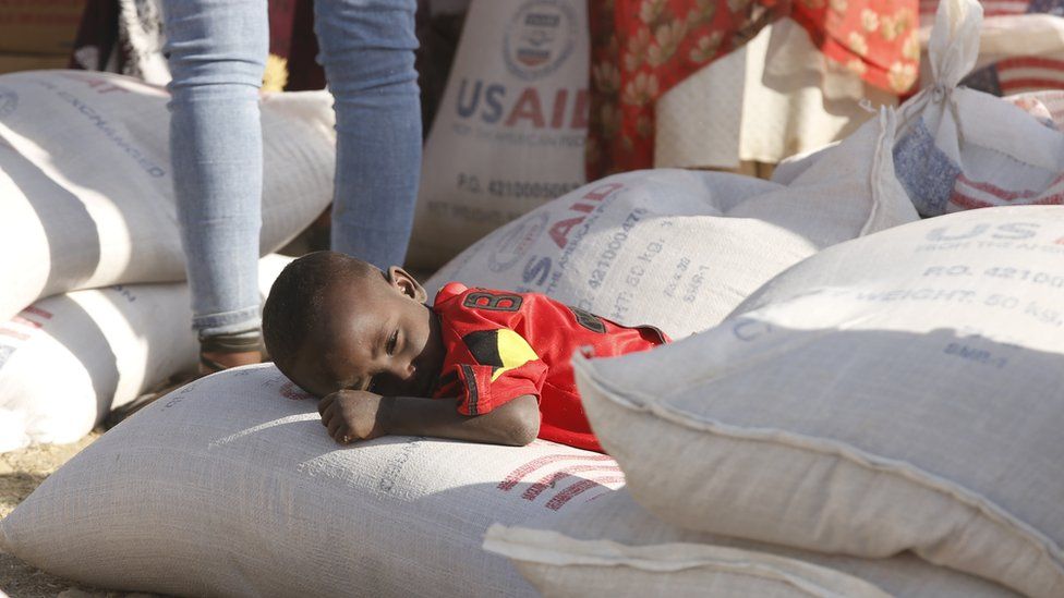 PBB: 350.000 Orang Ethiopia dalam Bencana Kelaparan