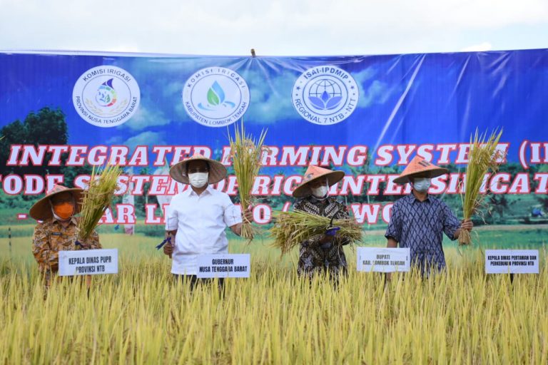 Sejahterakan Petani dan UMKM, TPP PNS Pemprov NTB Akan Diberikan Beras Lokal