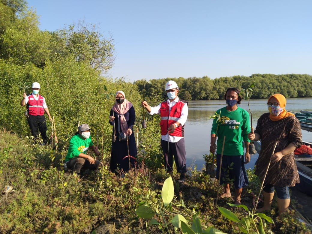 Jaga Ekosistem Alam, Legislator Bersama Nelayan Gresik Tanam Mangrove di Kali Mireng