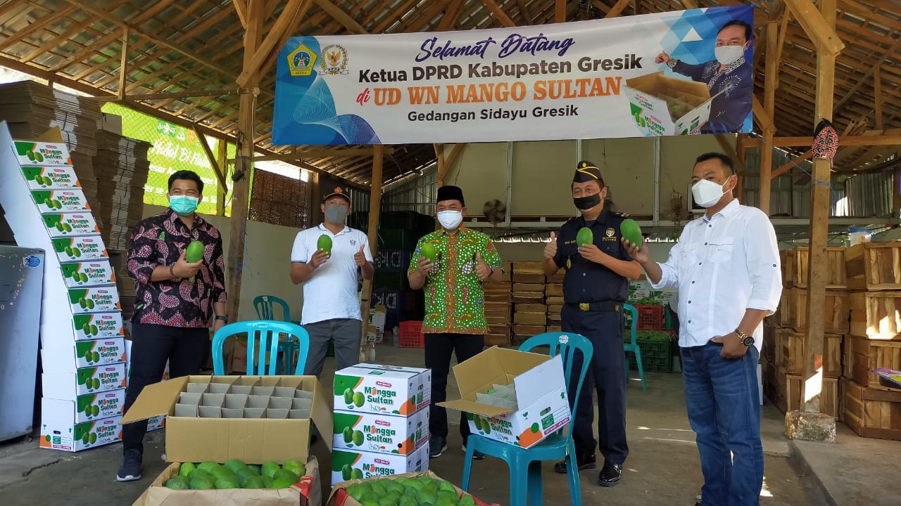 Mangga Hasil Panen Petani Buah Desa Gedangan Gresik Berpeluang Rambah Ekspor