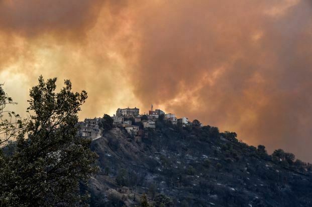 Suriah Eksekusi 24 Orang yang Menjadi Pemicu Kebakaran Hutan
