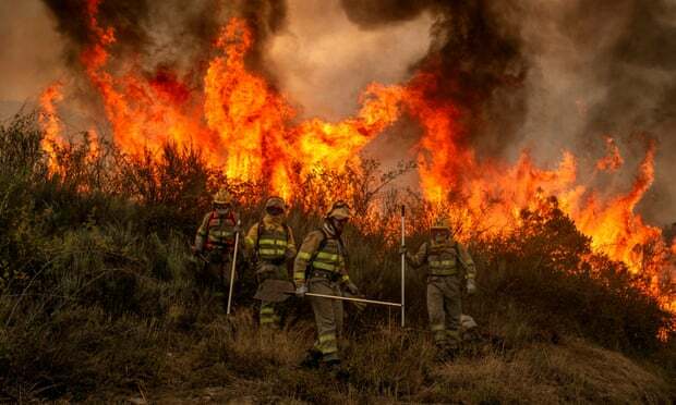 Api Musim Panas: Kebakaran Melanda Seluruh Mediterania