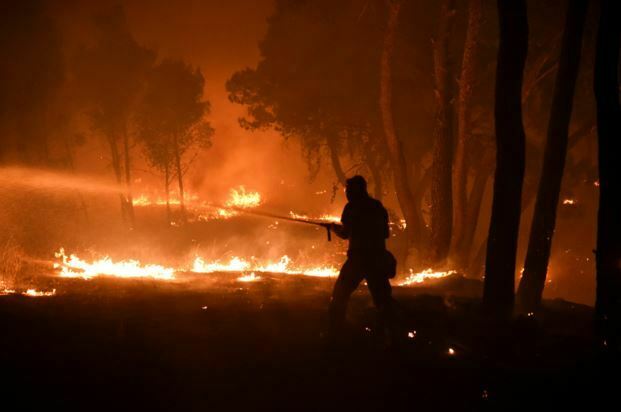 Kebakaran Hutan Menyebar, Si Jago Merah Sapu Pinggiran Kota Athena