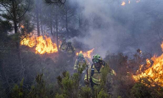 Kebakaran Spanyol: 1.000 Petugas Pemadam Dikerahkan