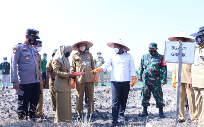 Sapa Petani Gresik Selatan, Bupati Gus Yani Soroti Alih fungsi Lahan Pertanian