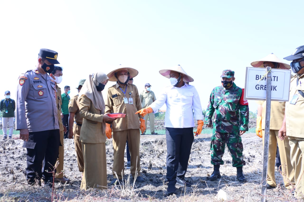 Sapa Petani Gresik Selatan, Bupati Gus Yani Soroti Alih fungsi Lahan Pertanian