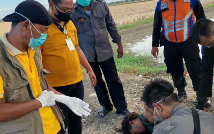 Kerap Brutal, Pria ODGJ di Cerme Gresik Diamankan