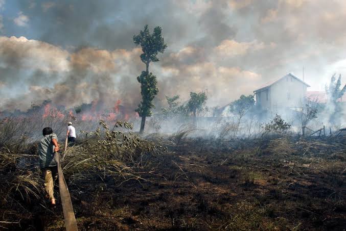 Perusahaan Pembakar Hutan di Kalteng Divonis Ganti Rugi Rp175,18 Miliar