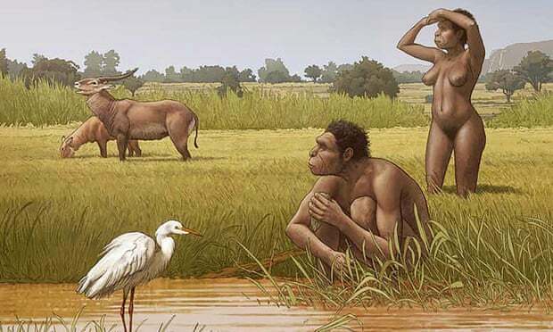 Homo Bodoensis, Spesies Nenek Moyang Manusia yang Hidup 500.000 Tahun yang Lalu