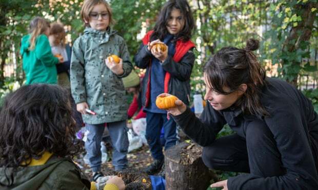 Akibat Penguncian Berkepanjangan, Sekolah Hutan di Inggris Semakin Banyak Diminati