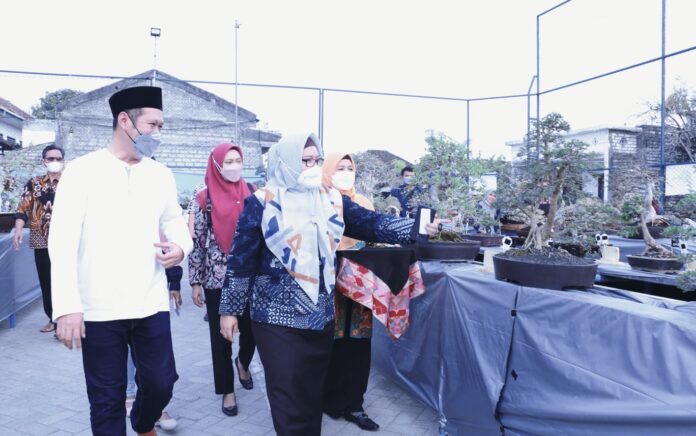 Kampung Bonsai Desa Petung Gresik, Berawal Hobi Jadi Ajang Kontes Tahunan