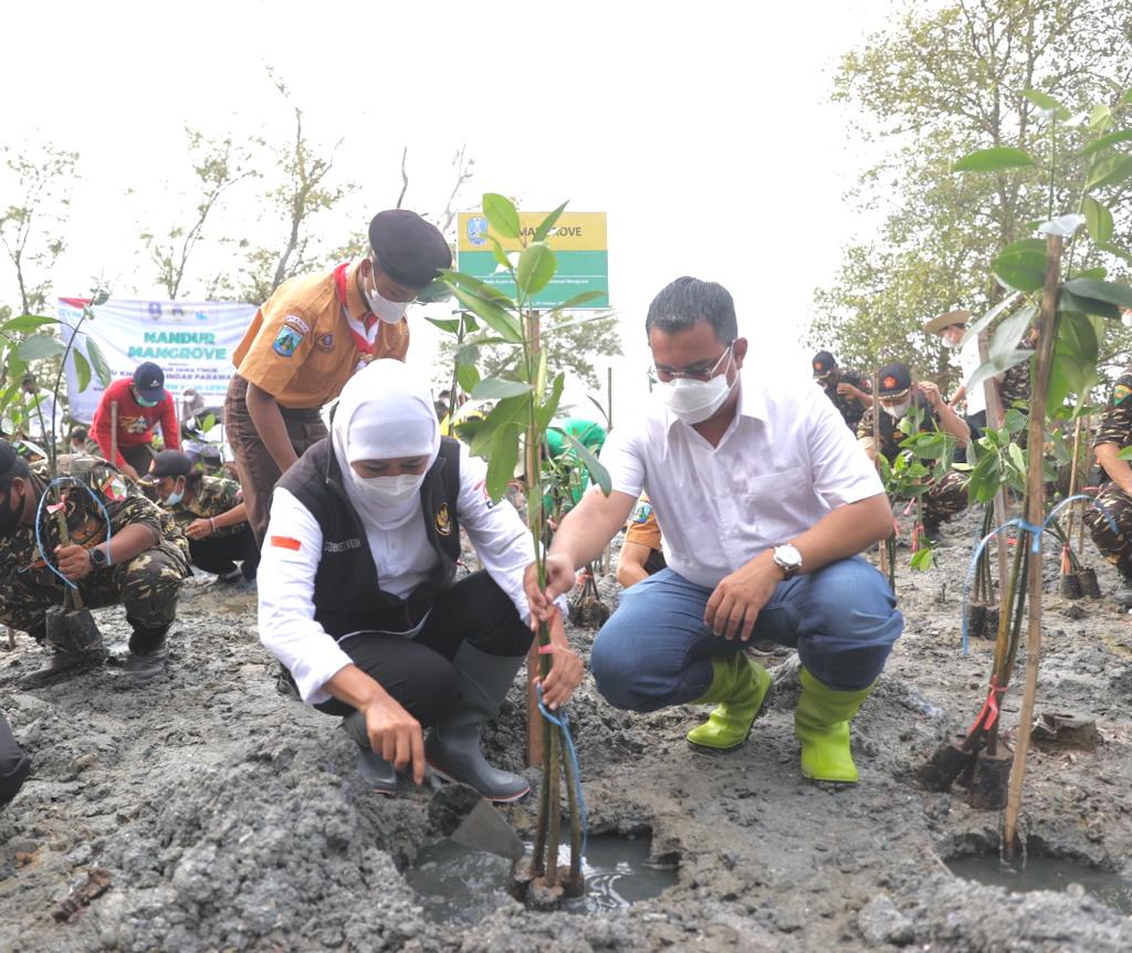 Gubernur Khofifah Canangkan Restorasi Mangrove di Tuban dan Gresik