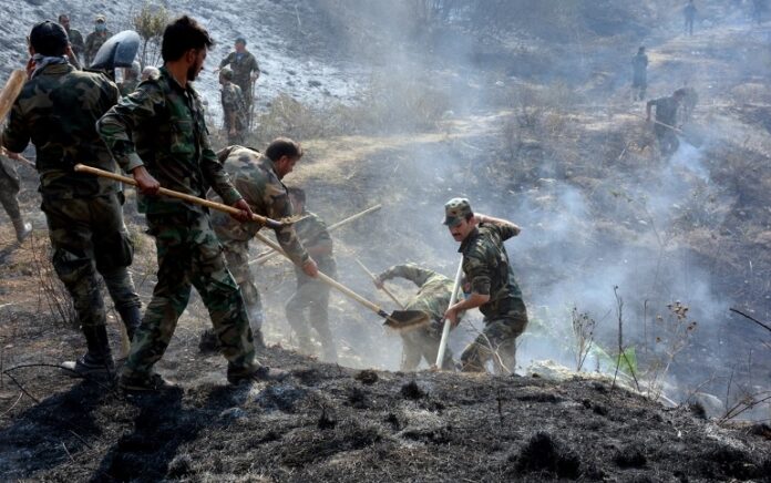 Pemerintah Suriah eksekusi 24 orang yang menjadi pemicu kebakaran hutan tahun lalu. Foto: Reuters.