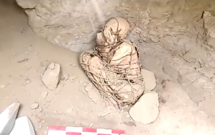 Arkeolog Temukan Mumi Berusia 800 Tahun di Peru