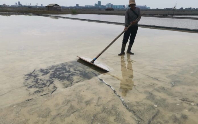 Pahit Getir Petani Garam di Gresik, Hasil Panen Turun Hingga Harga Terjun Bebas