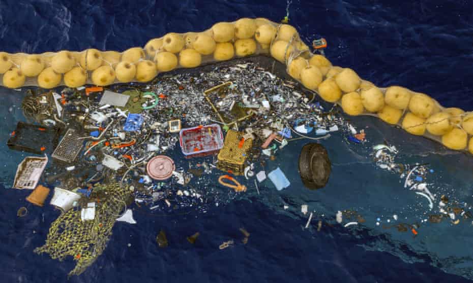Benarkah Massa Plastik Laut dapat Menyediakan Habitat Buatan untuk Spesies Pesisir?