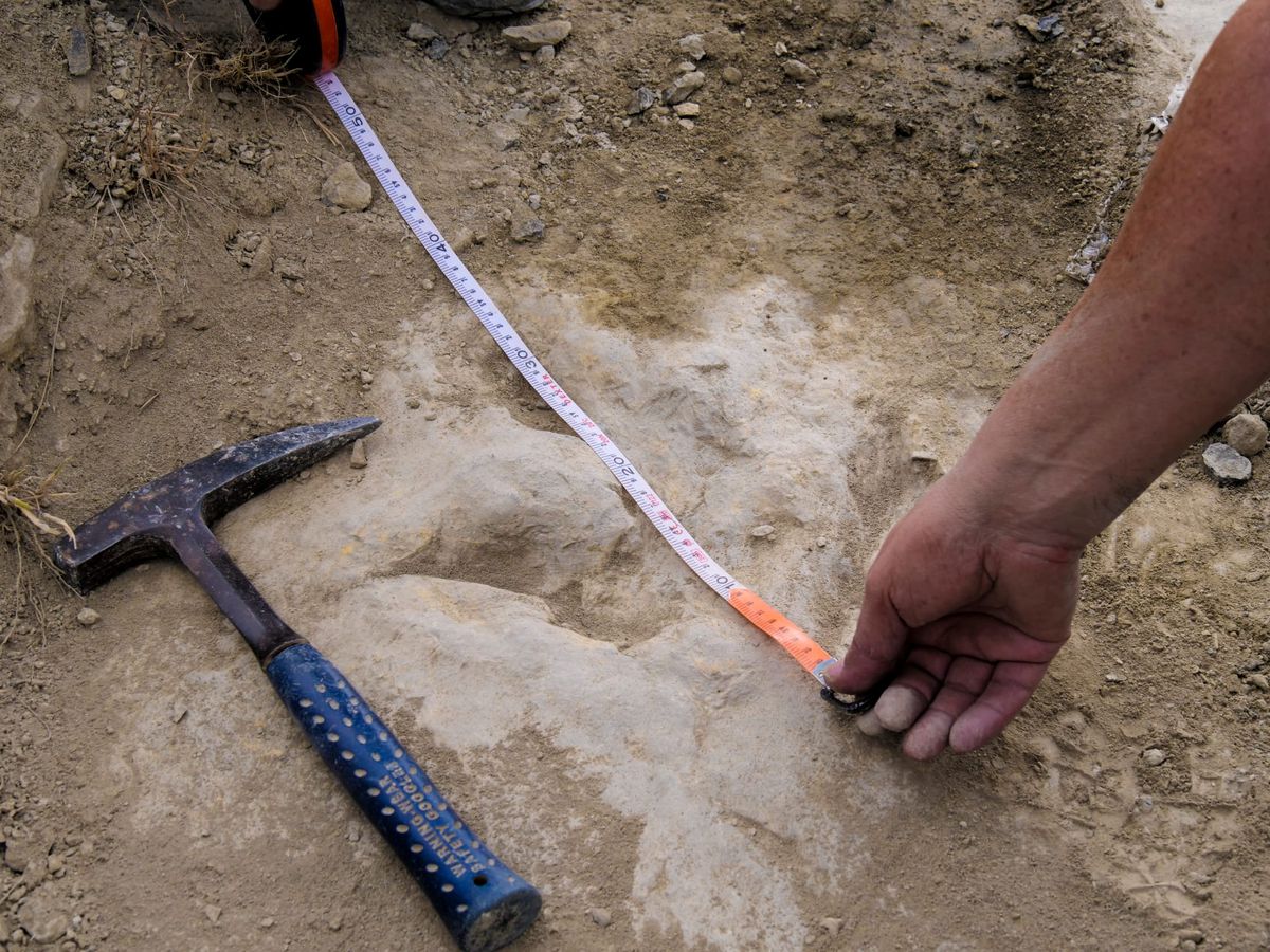 Temuan Jejak Kaki Dinosaurus di Spanyol Tunjukkan Kecepatan Spesies Pemakan Daging