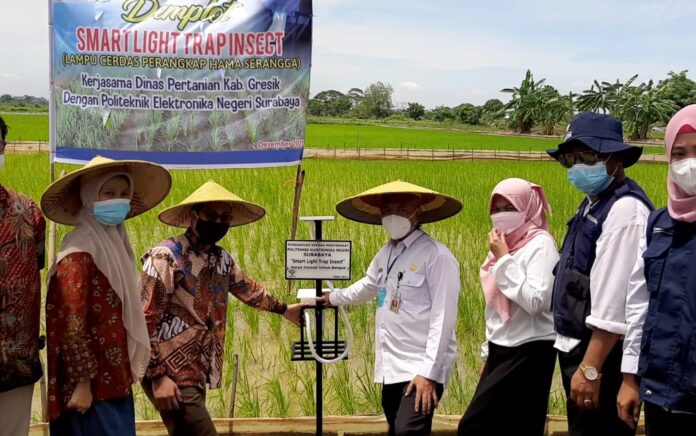 Smart Light Trap Insect, Terobosan Dispertan Gresik dan PENS Berantas Hama Serangga