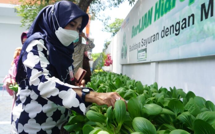 Kadinkes Gresik Panen Sawi dan Jamur Hasil Kebun Sekolah