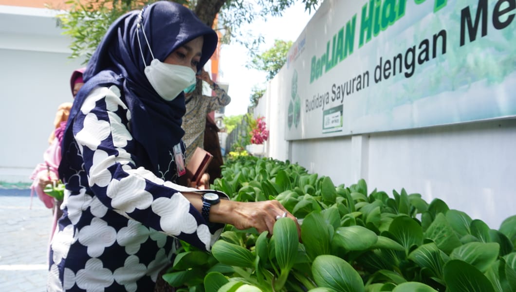 Kadinkes Gresik Panen Sawi dan Jamur Hasil Kebun Sekolah