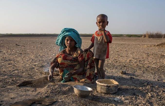 Terjadi Penjarahan, WFP Menangguhkan Distribusi Bantuan Makanan di Dua Kota Ethiopia