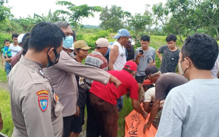 Geger, Petani Gresik Temukan Mayat Kakek Tengkurap di Sawah