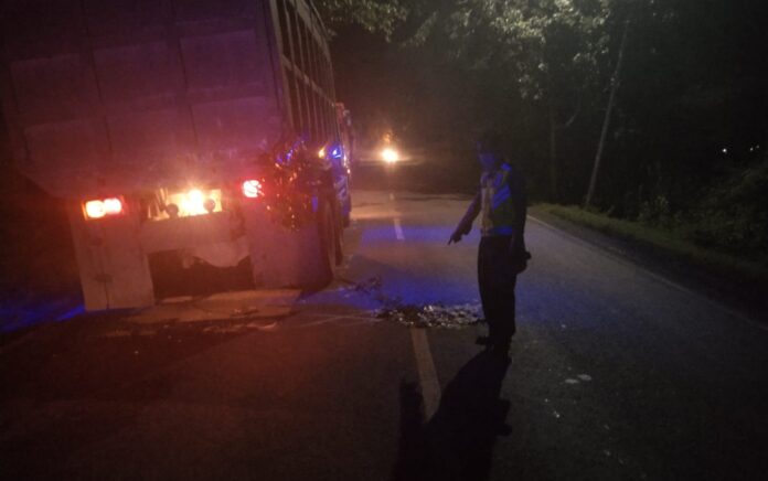 Jalan Raya Kemangi Gresik Kembali Telan Korban