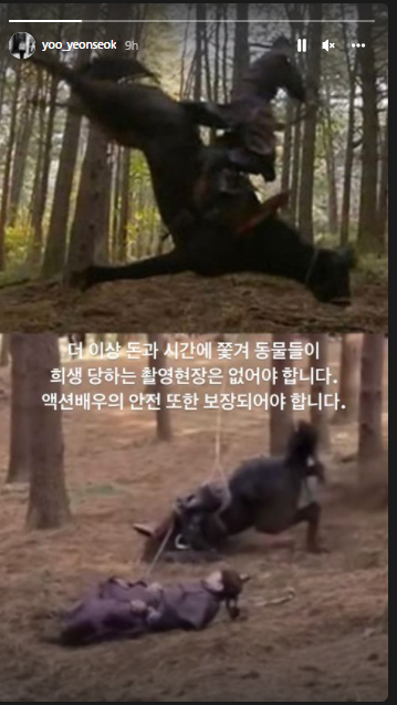 penyiksaan hewan Yoo yeon-Seok