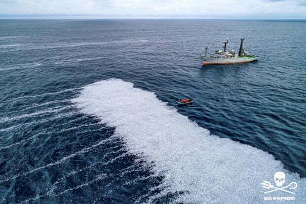 Kapal FV Margiris Menumpahkan 100.000 Ikan Mati ke Samudra Atlantik