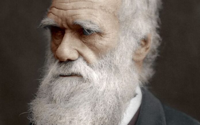 Dr Mike Sutton Ungkap Bukti Plagiasi Charles Darwin dari Karya Patrick Matthew