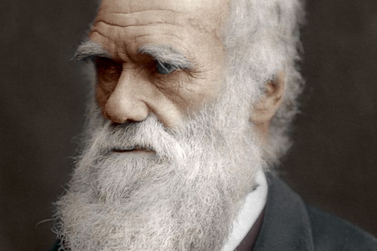 Dr Mike Sutton Ungkap Bukti Plagiasi Charles Darwin dari Karya Patrick Matthew