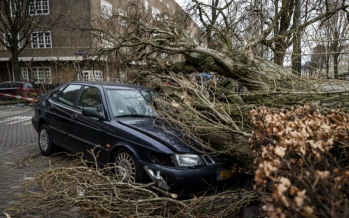 Sebuah mobil tergeletak di bawah pohon tumbang di Amsterdam setelah badai dahsyat menghantam Belanda. Foto: AFP.