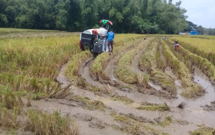 Kuota Tak Mencukupi, Dua Dinas di Gresik Diminta Ajukan Tambahan Pupuk Subsidi