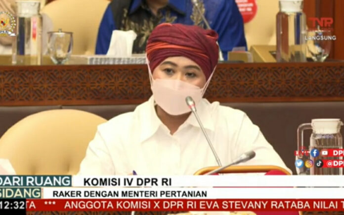 Anggota Komisi IV DPR RI, Luluk Nur Hamidah dalam Rapat Kerja bersama Kementerian Pertanian, Senin (14/2).