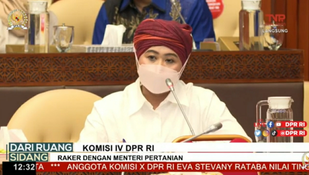 Anggota Komisi IV DPR RI, Luluk Nur Hamidah dalam Rapat Kerja bersama Kementerian Pertanian, Senin (14/2).