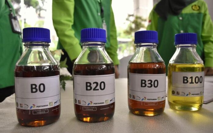 Pemerintah Patok Harga Biodiesel Rp14.436 Mulai 1 Maret