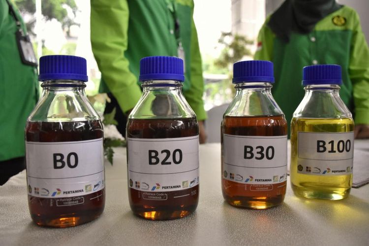 Pemerintah Patok Harga Biodiesel Rp14.436 Mulai 1 Maret