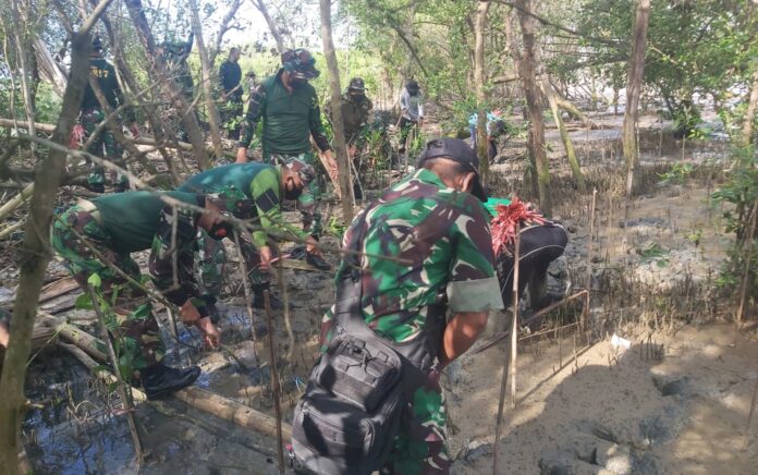 Prajurit Kodim 0817 Gresik Tanam 1.000 Bibit Mangrove di Pesisir Ujungpangkah