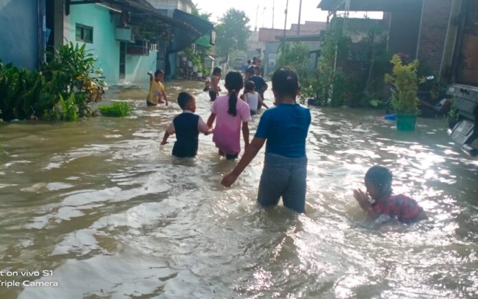 Sungai Brantas Meluap, Genangi Ribuan Rumah Warga di Driyorejo Gresik