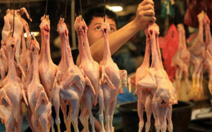 Pemerintah Jaga Harga Daging dan Telur Ayam Ras Tetap Stabil