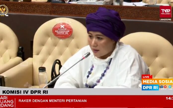 Anggota DPR RI Fraksi PKB Luluk Nur Hamidah dalam Rapat Kerja Komisi IV DPR RI dengan Kementerian Pertanian (Kementan), pada Selasa, 22 Maret 2022. (Foto: Tangkap Layar)