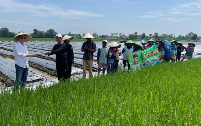 Komunitas Petani Cabai Merah Kabupaten Pemalang, Jawa Tengah, siap memenangkan Ketua Umum PKB, Abdul Muhaimin Iskandar (Gus Muhaimin) menjadi Presiden Indonesia pada Pemilu 2024.