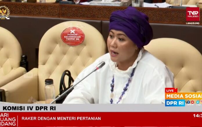 Anggota DPR RI Fraksi PKB Luluk Nur Hamidah dalam Rapat Kerja Komisi IV DPR RI dengan Kementerian Pertanian (Kementan), pada Selasa, 22 Maret 2022. (Foto: Tangkap Layar)