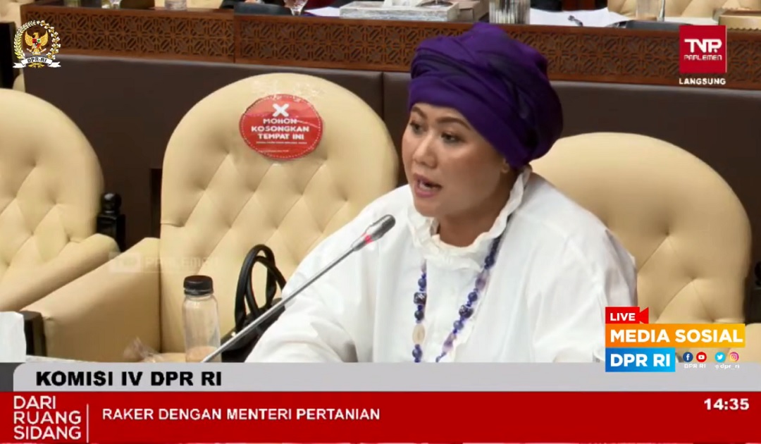 Anggota DPR RI Fraksi PKB Luluk Nur Hamidah dalam Rapat Kerja Komisi IV DPR RI dengan Kementerian Pertanian (Kementan), pada Selasa, 22 Maret 2022. (Foto: Tangkap Layar)