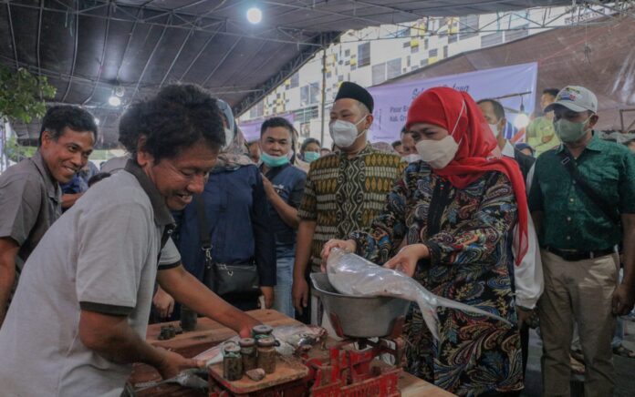 Keliling Pasar Bandeng Gresik, Gubernur Jatim Borong Ikan Kawak