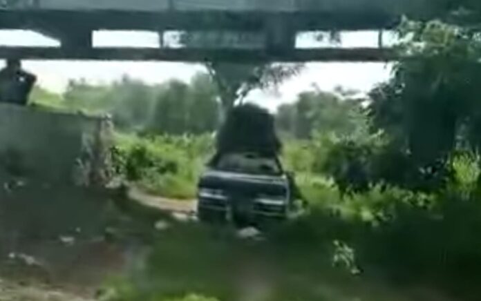 Viral Pria Gresik Cari Rumput di Kolong Jembatan Bawa Mobil Sedan