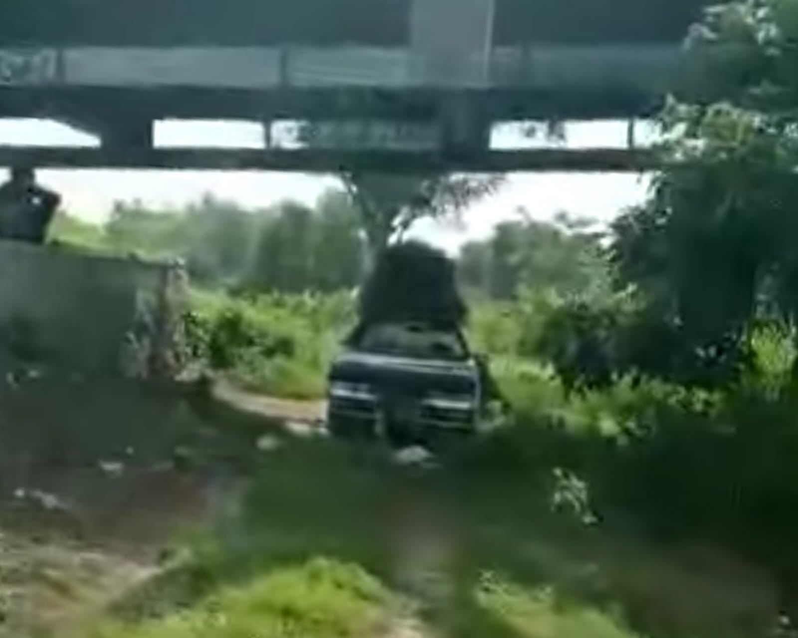 Viral Pria Gresik Cari Rumput di Kolong Jembatan Bawa Mobil Sedan